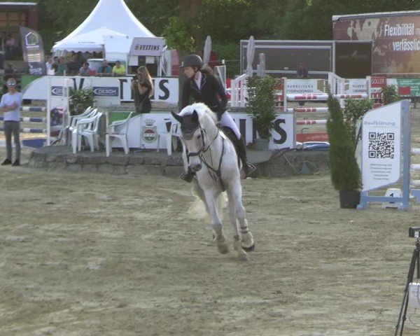 Reitturnier Hellefeld 2025