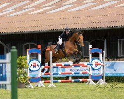 jumper Carlos 766 (Holsteiner, 2011, from Cosido)