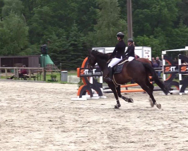 Reitturnier Kropp 2025