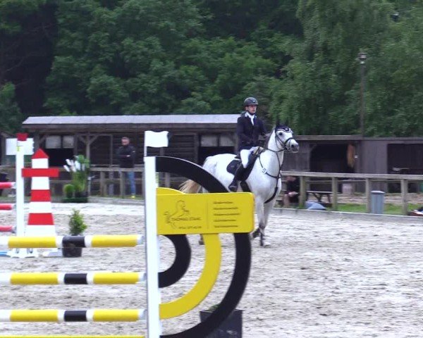 Reitturnier Kropp 2025