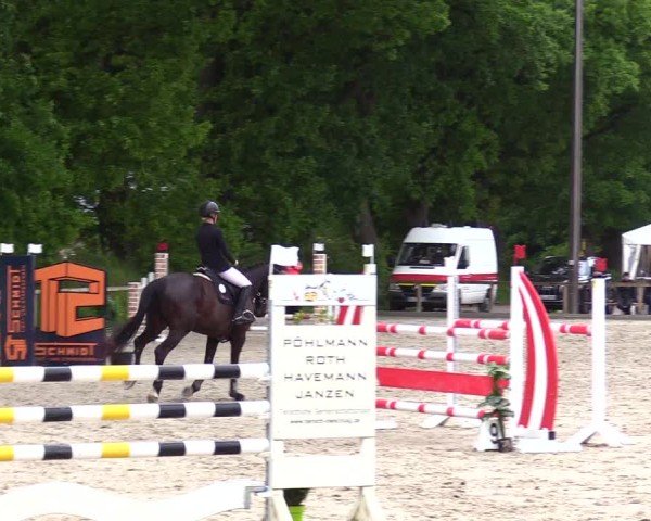 Reitturnier Kropp 2025