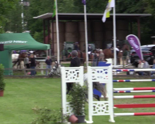 Reitturnier Scharnebeck 2025