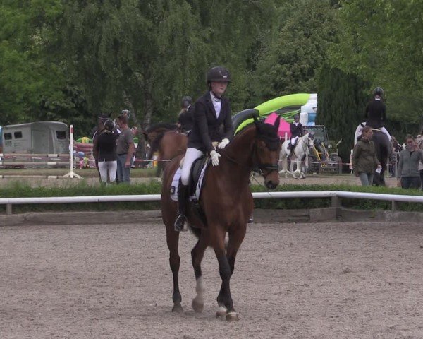 Reitturnier Hamm-Rhynern 2025