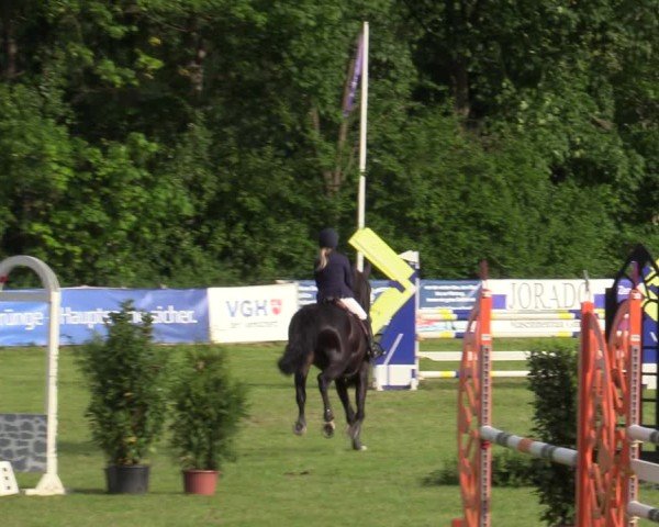 Reitturnier Scharnebeck 2025