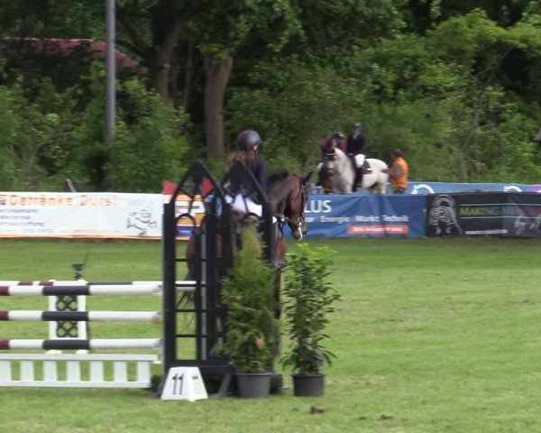 Reitturnier Scharnebeck 2025