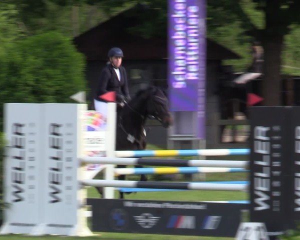 Reitturnier Scharnebeck 2025