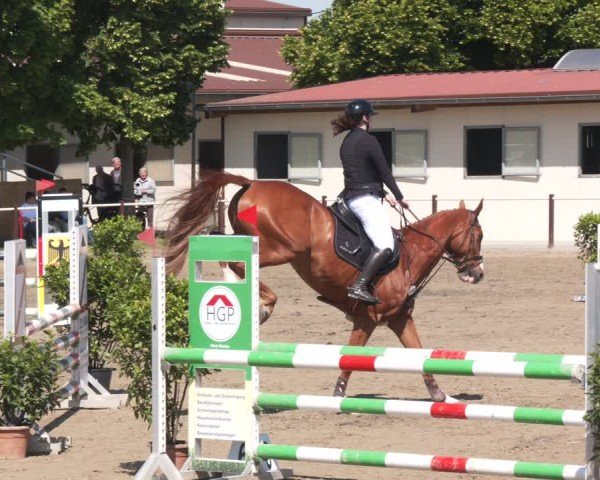 Reitturnier Kitzscher / Reitanlage Heuter 2025
