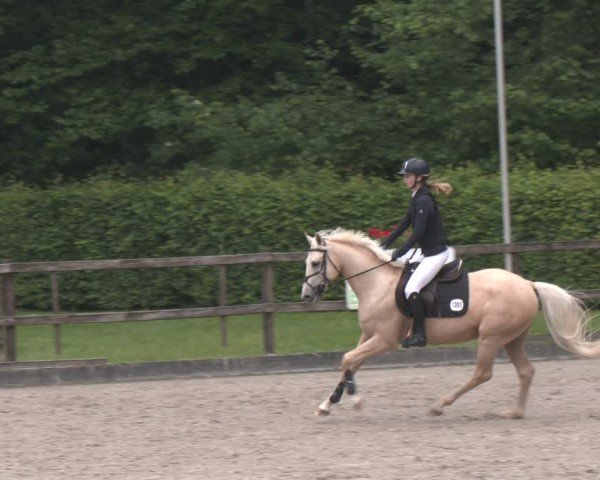 Reitturnier Klein Roscharden 2025