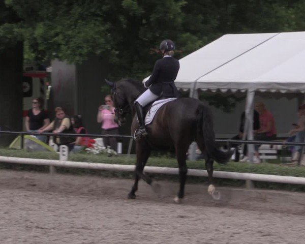 Reitturnier Hamm-Rhynern 2025