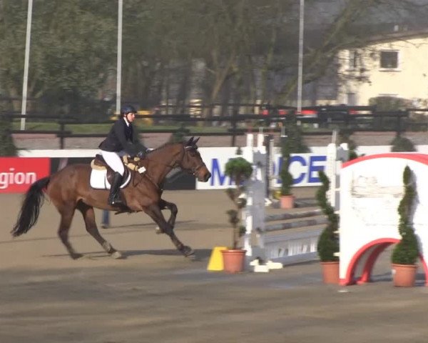 Balve-Wocklum Regio 2014