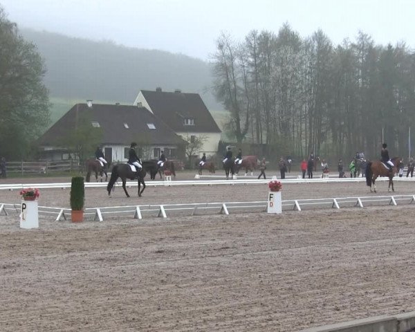 Balve-Wocklum Regio 2014