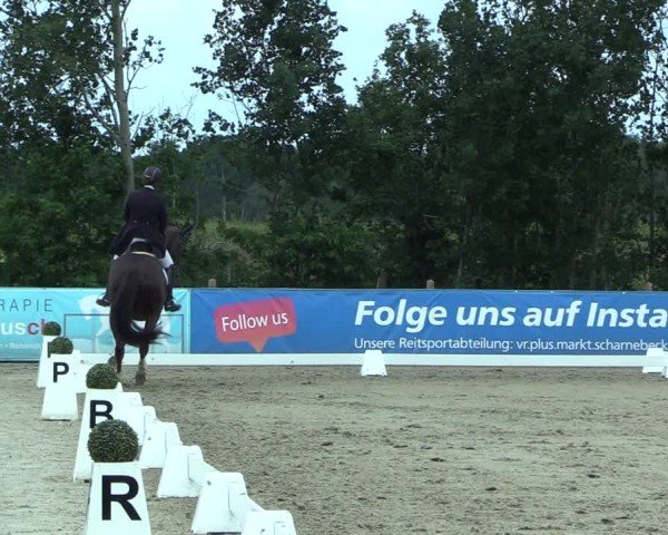 Reitturnier Scharnebeck 2025