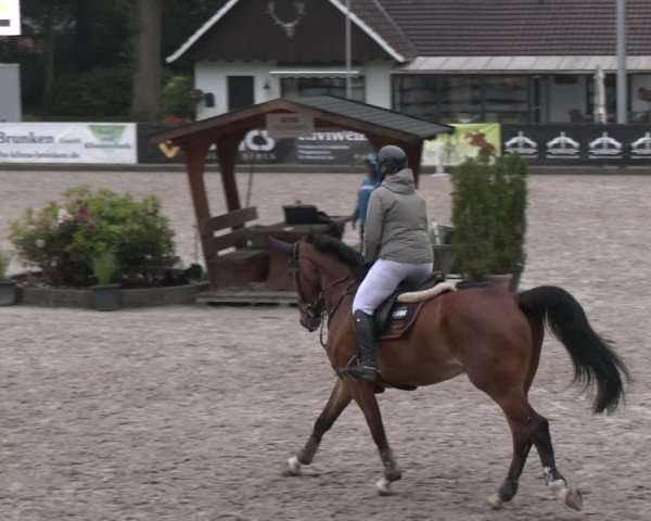 Reitturnier Klein Roscharden 2025
