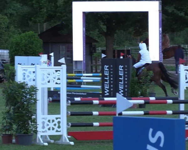 Reitturnier Scharnebeck 2025