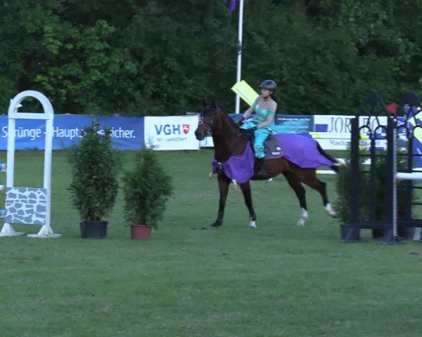 Reitturnier Scharnebeck 2025