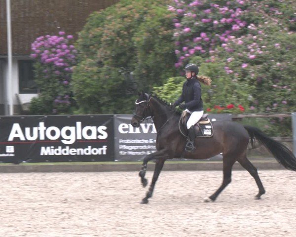 Reitturnier Klein Roscharden 2025