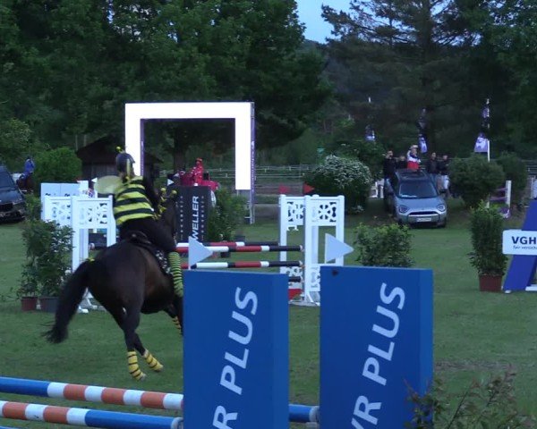 Reitturnier Scharnebeck 2025