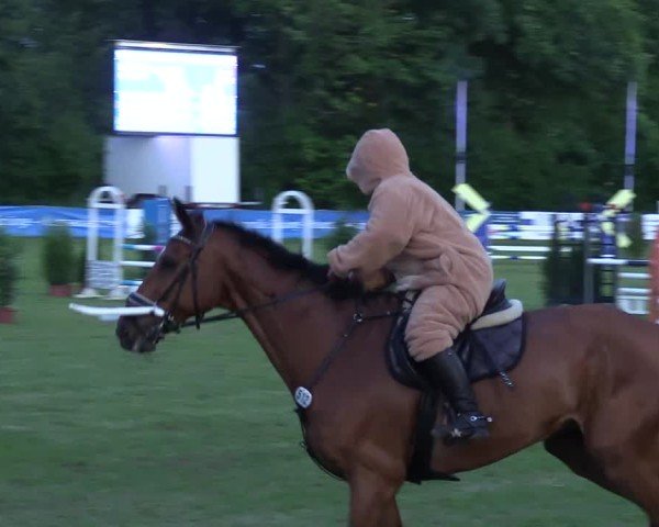 Reitturnier Scharnebeck 2025