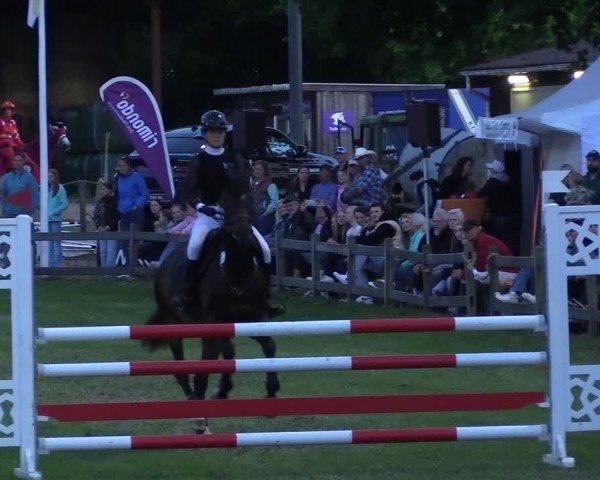 Reitturnier Scharnebeck 2025