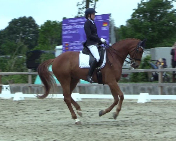 Reitturnier Scharnebeck 2025
