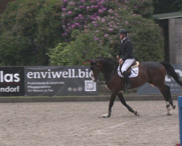 Reitturnier Klein Roscharden 2025