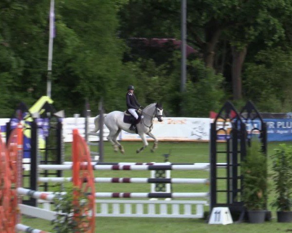 Reitturnier Scharnebeck 2025