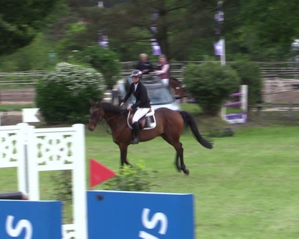 Reitturnier Scharnebeck 2025