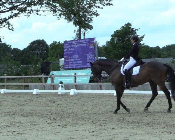 Reitturnier Scharnebeck 2025