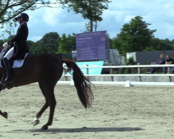 Reitturnier Scharnebeck 2025