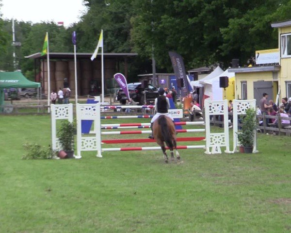 Reitturnier Scharnebeck 2025