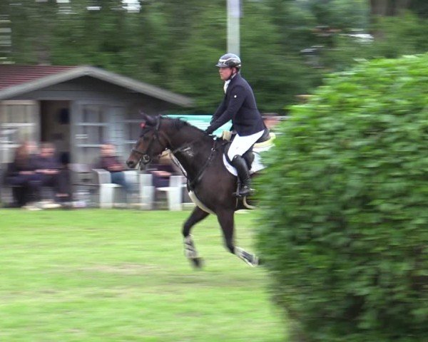 Reitturnier Scharnebeck 2025