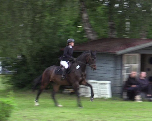 Reitturnier Scharnebeck 2025