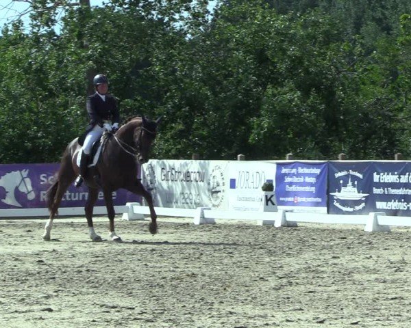 Reitturnier Scharnebeck 2025