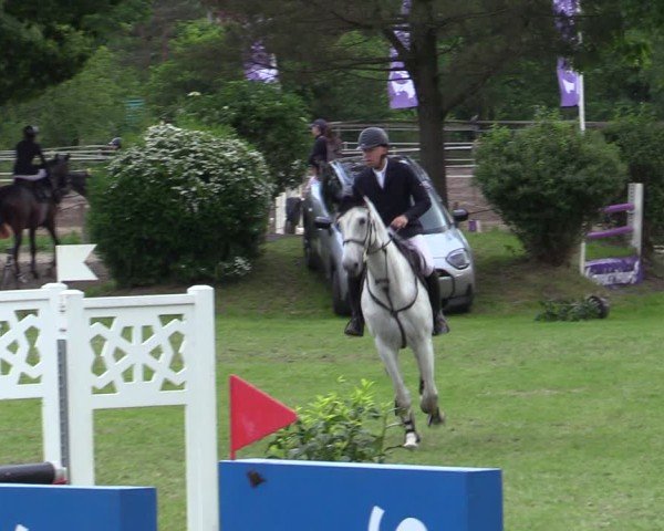 Reitturnier Scharnebeck 2025