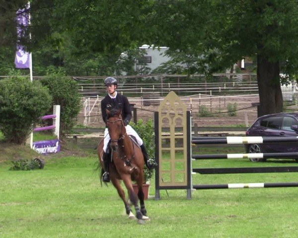 Reitturnier Scharnebeck 2025
