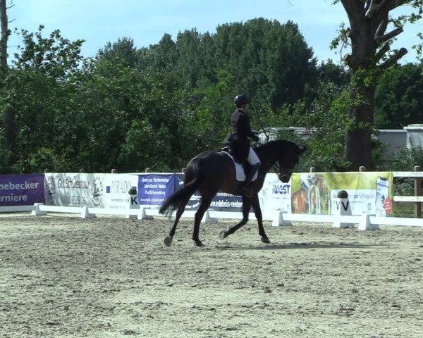 Reitturnier Scharnebeck 2025