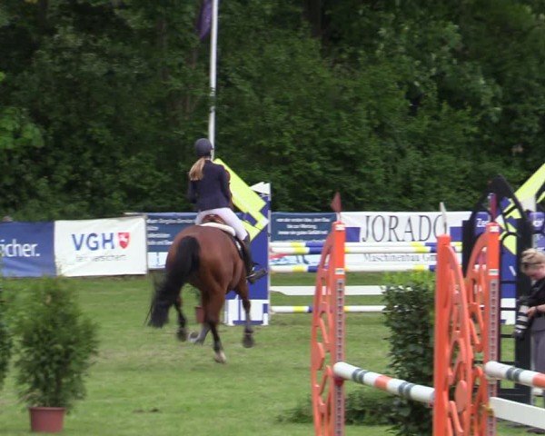 Reitturnier Scharnebeck 2025