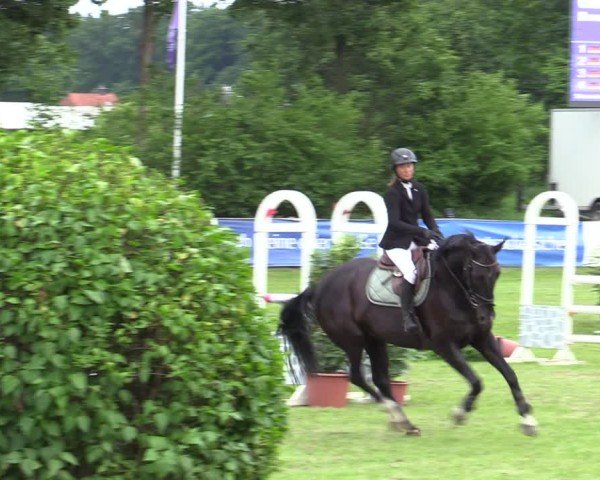 Reitturnier Scharnebeck 2025