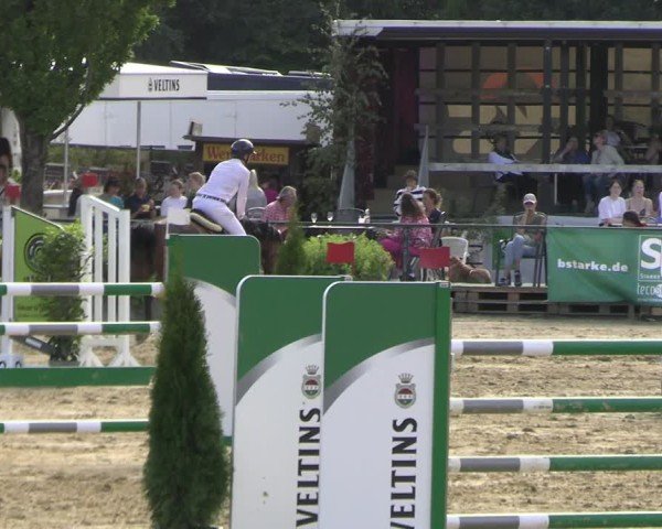 Reitturnier Hellefeld 2025