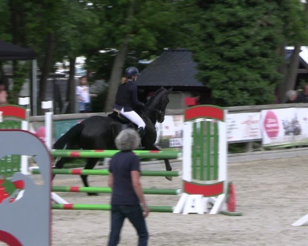 Reitturnier Ruhlsdorf 2025