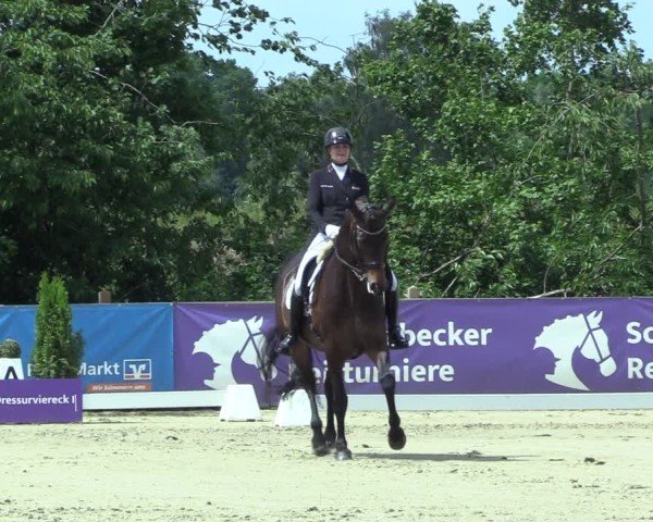 Reitturnier Scharnebeck 2025