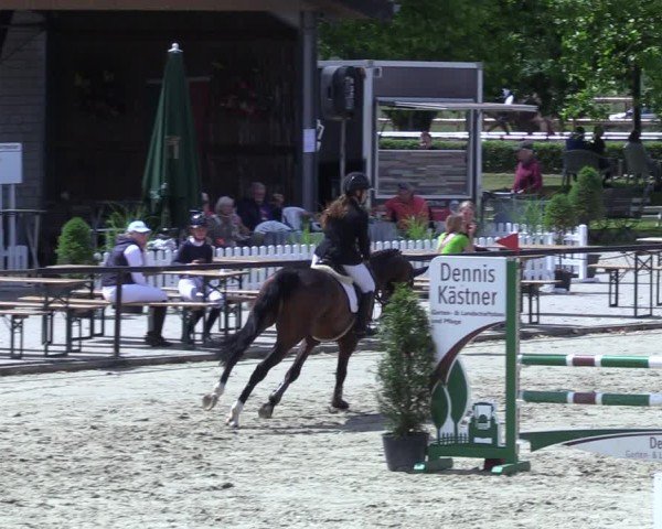 Reitturnier Hamm-Rhynern 2025