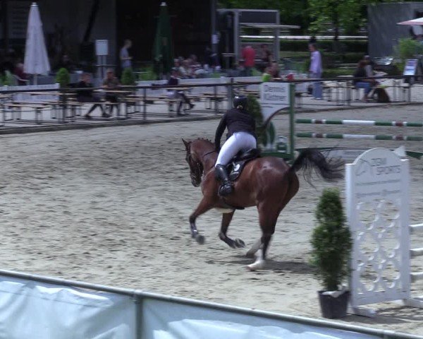 Reitturnier Hamm-Rhynern 2025