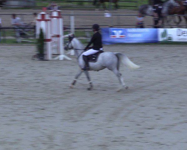 Reitturnier Hamm-Rhynern 2025