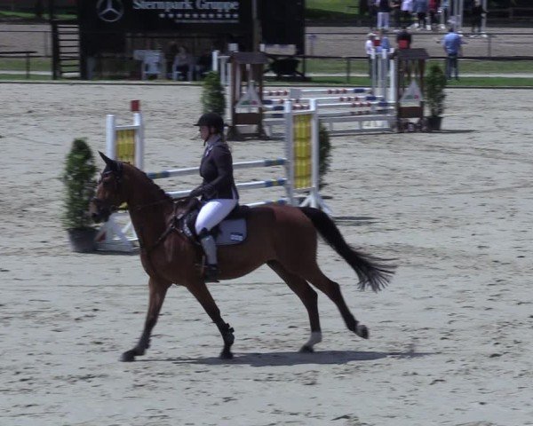 Reitturnier Hamm-Rhynern 2025