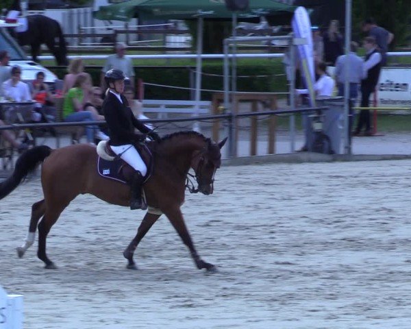 Reitturnier Hamm-Rhynern 2025