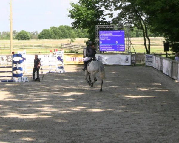 Reitturnier Ruhlsdorf 2025