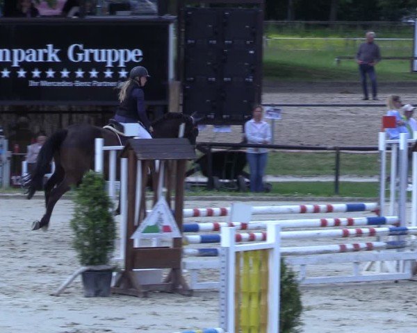 Reitturnier Hamm-Rhynern 2025