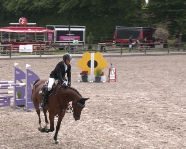 Reitturnier Klein Roscharden 2025