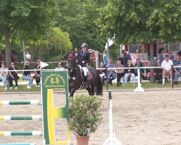 Reitturnier Kitzscher / Reitanlage Heuter 2025